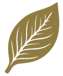 Logo der Leaf Cigars UG